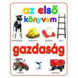 Gazdas&aacute;g - Az első k&ouml;nyvem