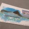 CARD SUVENIR CU TMBRU NESTAMPILAT /E MAI MARE CA CP/ SAINT LUCIA