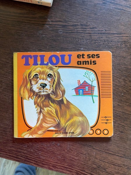 Tilou et ses amis