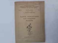 PLANTE INDICATOARE DIN PADURILE NOASTRE-AL.BELDIE-1955 R3. foto