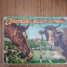 ANIMALE SI PASARI DOMESTICE 1969