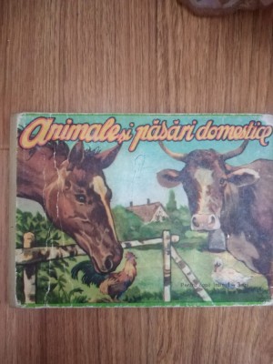 ANIMALE SI PASARI DOMESTICE 1969 foto