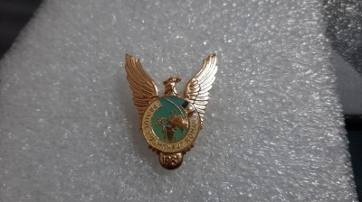 Insigna Primul cosmonaut roman 1981 foto