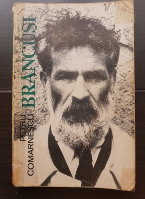 BR&amp;Acirc;NCUȘI - Petru Comărnescu foto