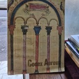 CODEX AUREUS - DAN SIMIONESCU