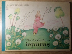 PLECA ODATA UN IEPURAS-RENATE TOTZKE-ISRAEL foto