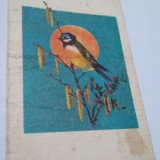 Cumpara ieftin CARTE POSTALA FELICITARE CIRCULATA