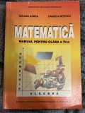 Matematică, manual pentru clasa a VI-a - Tatiana Udrea, Daniela Niţescu