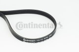 CONTINENTAL CTAM 5PK1121 EXTRA Curea transmisie cu caneluri