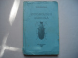 Entomologie agricola - Elena Bucurean, 1999, Alta editura