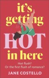 It&rsquo;s Getting Hot in Here : a laugh-out-loud love story for the Menopausing audience