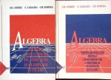 ALGEBRA PENTRU CONCURSURI DE ADMITERE SI OLIMPIADE SCOLARE, CLASA A XI-A VOL.1-2-GHEORGHE ANDREI, C. CARAGE-263475