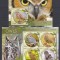 Sierra Leone - PASARI - BUFNITE - MNH