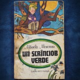 UN SCRINCIOB VERDE - MIHAELA MONORANU