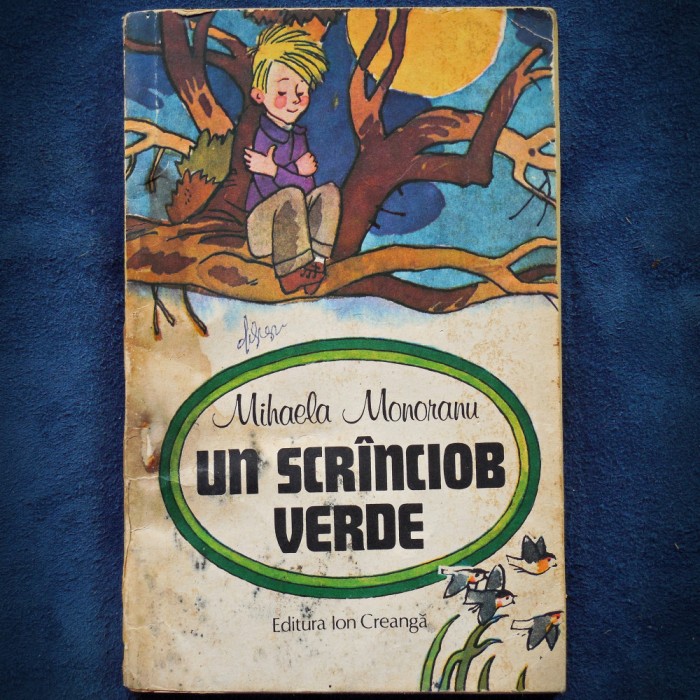 UN SCR&Acirc;NCIOB / SCR&Icirc;NCIOB VERDE - MIHAELA MONORANU