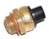 Comutator temperatura, ventilator radiator VW PASSAT B5.5 (3B3) (2000 - 2005) AIC 50810
