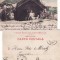 Dobrogea, Constanta -Tatari, tigani - tipuri-clasica, rara