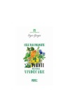 Cele mai folosite 17 plante pentru vindecare - Paperback brosat - Eugen Giurgiu - Meteor Press