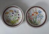 Lot 2 farfurii pictate manual, semnat 1983 M.G., 21cm diametru x 3.5cm inaltime