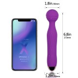 Vibrator Wand pentru Masaj, 10 Moduri de Vibratie, USB Reincarcabil, Rezistent la Apa, din Silicon Medical