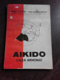 Aikido , Serban Derlogea, Dan-Corneliu Ionescu , 1990