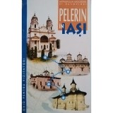 Nicolae Dascalu - Pelerin in Iasi (Editia: 2000)