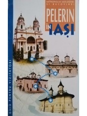 Nicolae Dascalu - Pelerin in Iasi (Editia: 2000) foto
