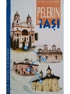 Nicolae Dascalu - Pelerin in Iasi (Editia: 2000) foto