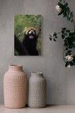 Tablou Canvas, "Panda roșu r&acirc;z&acirc;nd &icirc;n pădurea verde", Roșcat, Z&acirc;mbitor, Blănos, Drăguț, Relaxat, Jucăuș, Curios, Perișor, 26 x 39 cm, CMCLASS