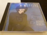 Lavine Hudson - between the worlds - g
