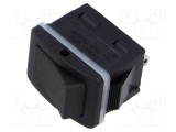 Rocker SPST Canal Electronic 2 ON-OFF 10A/250VAC Negru IP68
