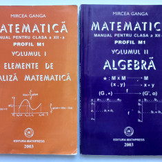 MIRCEA GANGA - MATEMATICA- MANUAL PENTRU CLASA A XII-A. M1. 2 VOLUME