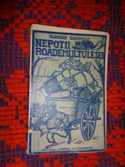 Nepotii Roademultulesei - Florian Cristescu / carte veche , carte pentru copii, 86 pagini