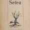 Setea - Titus Popovici (coperta uzata)