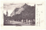 5581 - AIUD, Alba, Romania - old postcard - used - 1904, Circulata, Printata