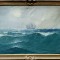 D. Florian - Velier pe mare