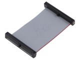 Cablu panglică SAMTEC IDC 50,8mm FFSD-22-D-02.00-01-N cu conectori IDC pe ambele părți
