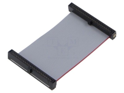 Cablu panglică SAMTEC IDC 50,8mm FFSD-22-D-02.00-01-N cu conectori IDC pe ambele părți foto