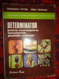 Determinator pentru recunoasterea plantelor cultivate - Rogojanu Victor , Perju Teodosie / 498 pagini