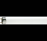 Cumpara ieftin Tub Neon Philips Master TL-D Super 80 36W G13, 6500K, 15000h, Lumina Rece