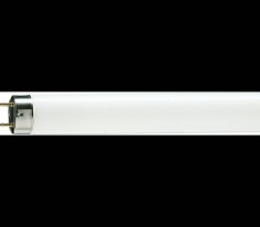 Tub fluorescent Philips Master TL-D Super 80, G13, 36W, 15000h, lumina rece 6500K