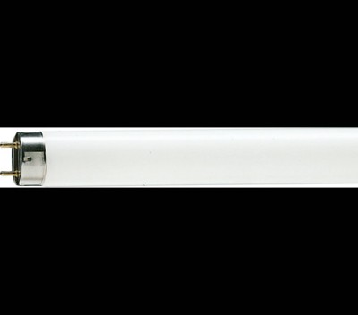 Tub fluorescent Philips Master TL-D Super 80, G13, 36W, 15000h, lumina rece 6500K foto