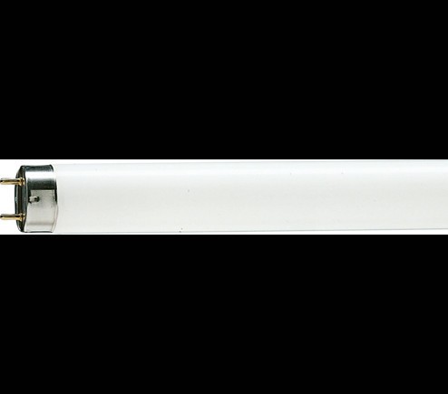 Tub fluorescent Philips Master TL-D Super 80, G13, 36W, 15000h, lumina rece 6500K