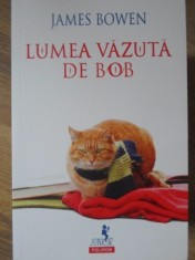 LUMEA VAZUTA DE BOB-JAMES BOWEN-254103 foto
