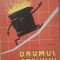 Drumul otelului - Costin Mandi