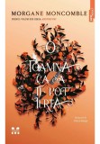 Cumpara ieftin O toamna ca sa te pot ierta