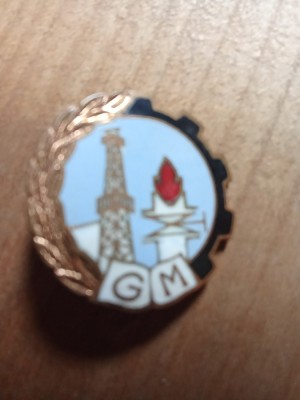 Insigne (3) Industrie GM foto