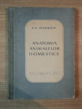 ANATOMIA ANIMALELOR DOMESTICE de D. M. AVTOCRATOV , 1952 , COTOR LIPIT CU SCOCI