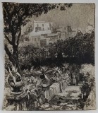 SAMUEL MUTZNER , GRADINA CU PLANTE EXOTICE , FOTOGRAFIE CU ADAOSURI DE CULOARE ALBA , INTERBELICA