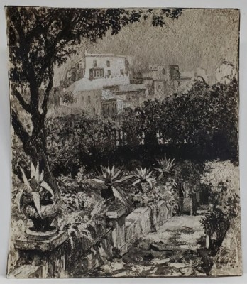 SAMUEL MUTZNER , GRADINA CU PLANTE EXOTICE , FOTOGRAFIE CU ADAOSURI DE CULOARE ALBA , INTERBELICA foto